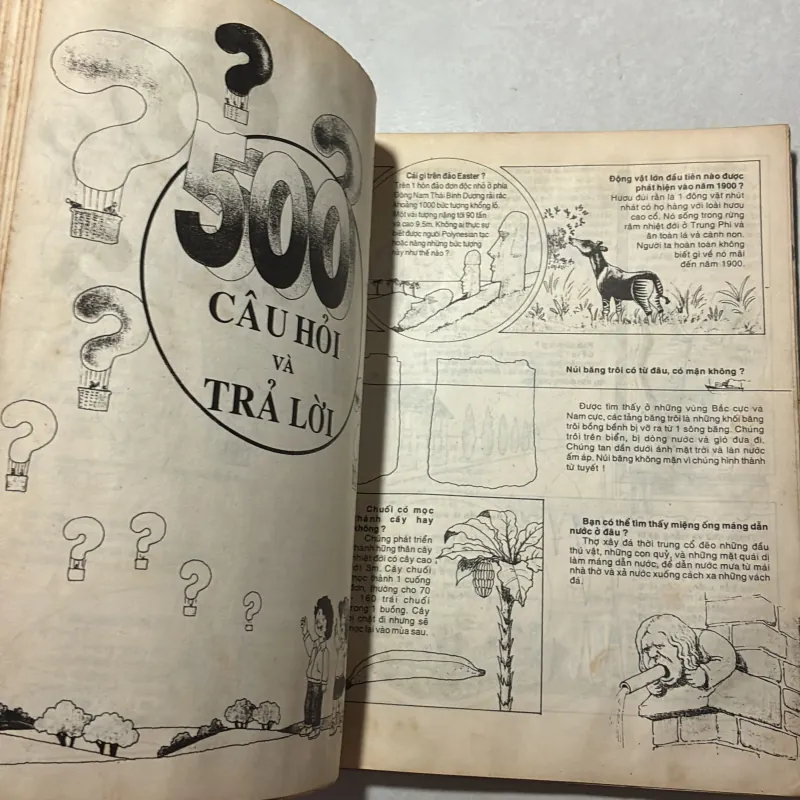 1000 kiến thức kỳ thú cho mọi người 791988