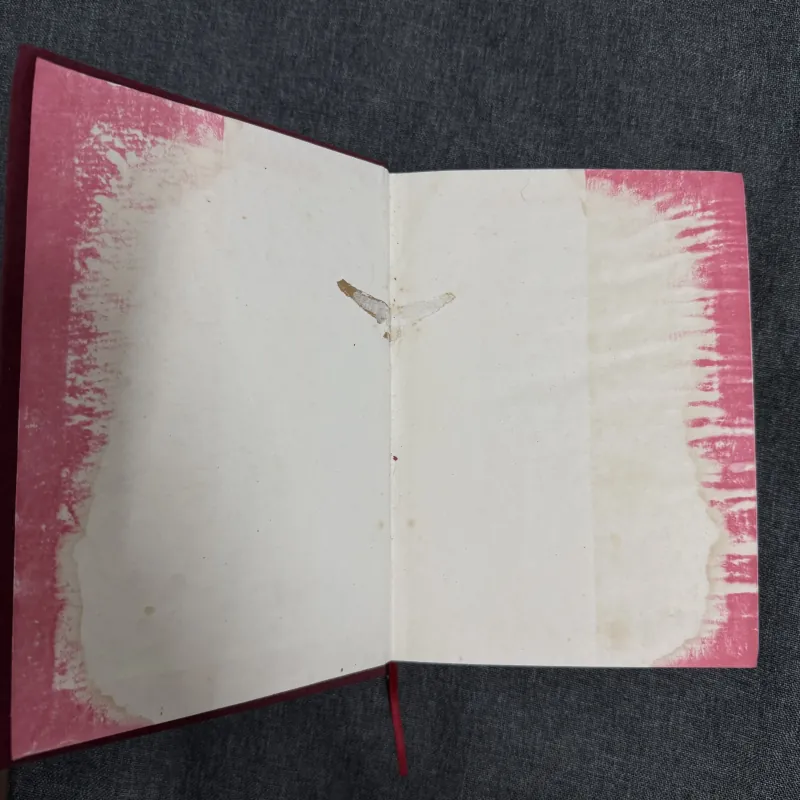 Gã khờ - Fyodor Dostoevsky 785504