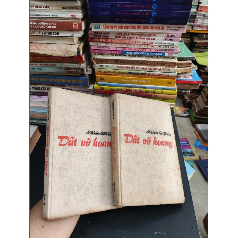 Đất vỡ hoang (bộ 2 tập) 129608