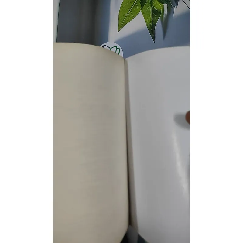 Tôi là Bêtô - Nguyễn Nhật Ánh 798505