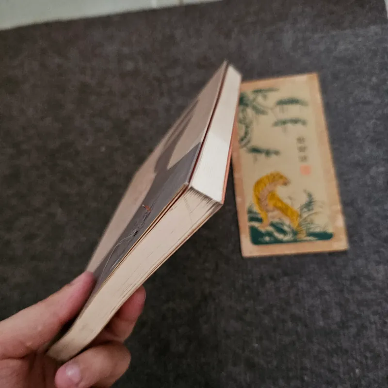 Soi gương bằng người - Việt Linh 736888