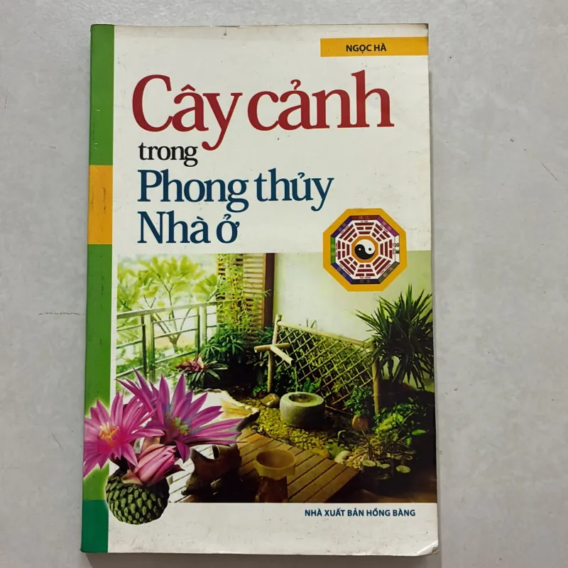Cây cảnh trong phong thủy nhà ở 764640