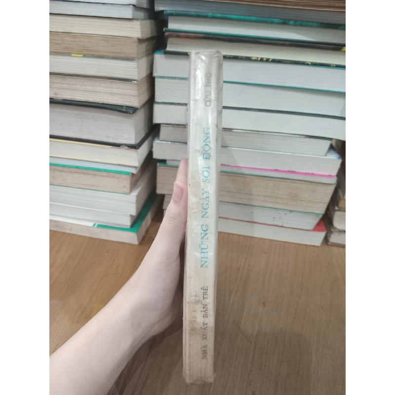 Những ngày sôi động - Cửu Thọ 738577