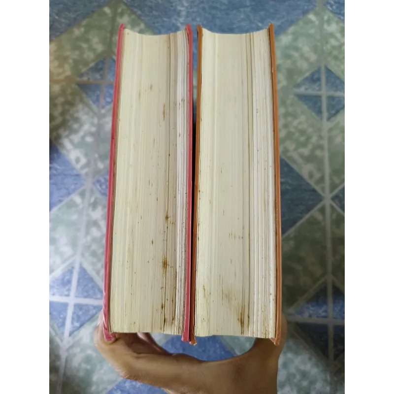 Phong thủy đại sư Lưu Bá Ôn ( 2 tập) - Tiêu Hiển 748817