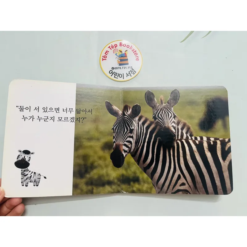 Set boardbook tranh ảnh động vật, thực vật chó bé B30 l 1043706