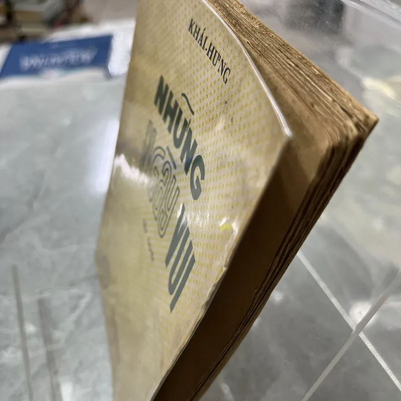 NHỮNG NGÀY VUI - KHÁI HƯNG 714588