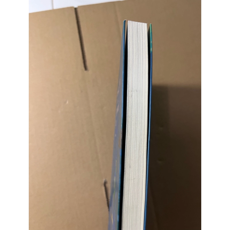 Mùa Hè Cùng Người Lạ 536541
