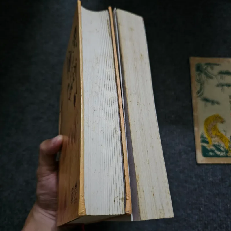 Vòng bảy người 736471