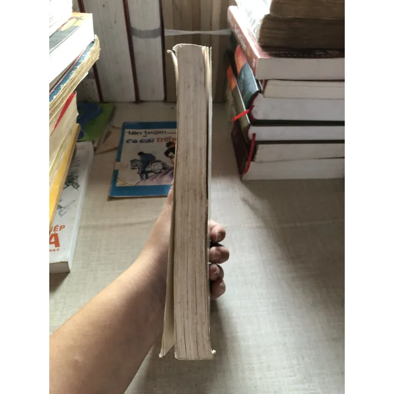 Lịch sử Triết học 993270