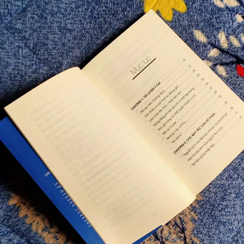 Ý Chí SẮT ĐÁ - Orison Swett Marden 1004250