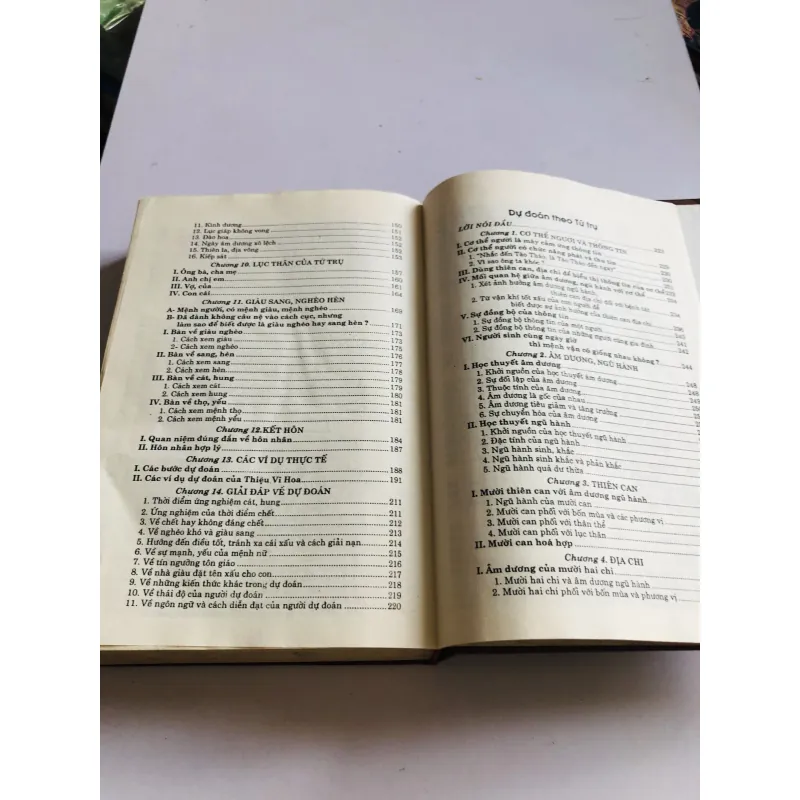 DỰ ĐOÁN THEO TỨ TRỤ  780557