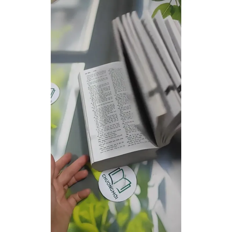 Từ Điển Tiếng Việt 727391