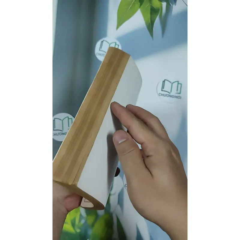 [XƯA] Nguyễn Du - Phê Bình Bình Luận Văn Học 1 (1998) - Vũ Tiến Quỳnh 798514