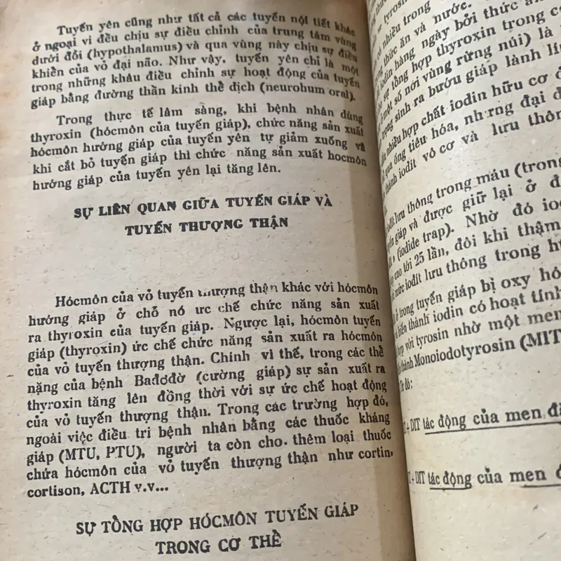 Dự phòng những tai biến trong thời kỳ thai nghén và sinh sản  622662