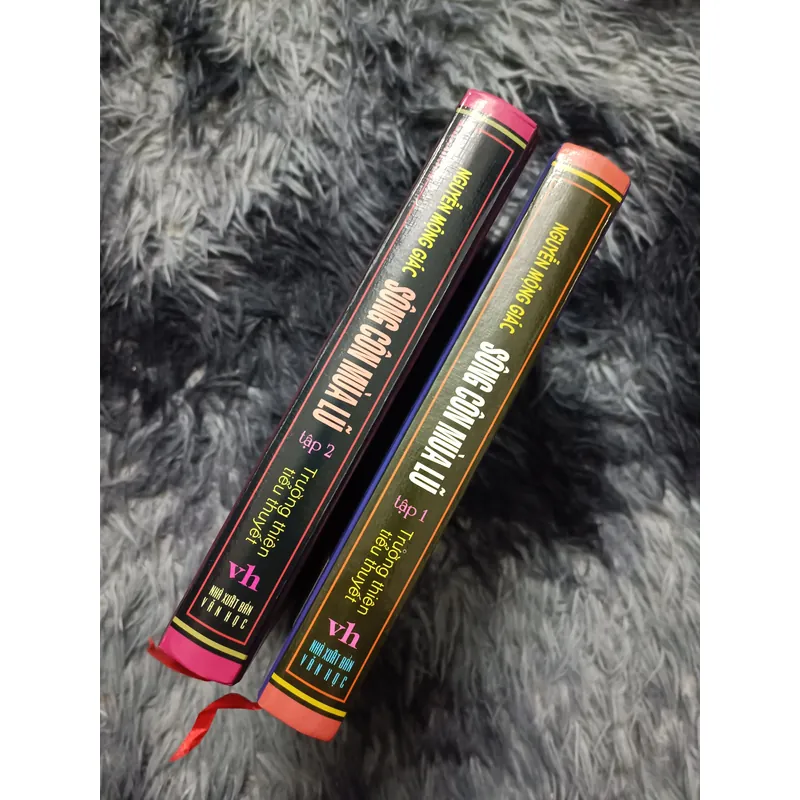 Sông Côn mùa Lũ (Nguyễn Mộng Giác) 728178