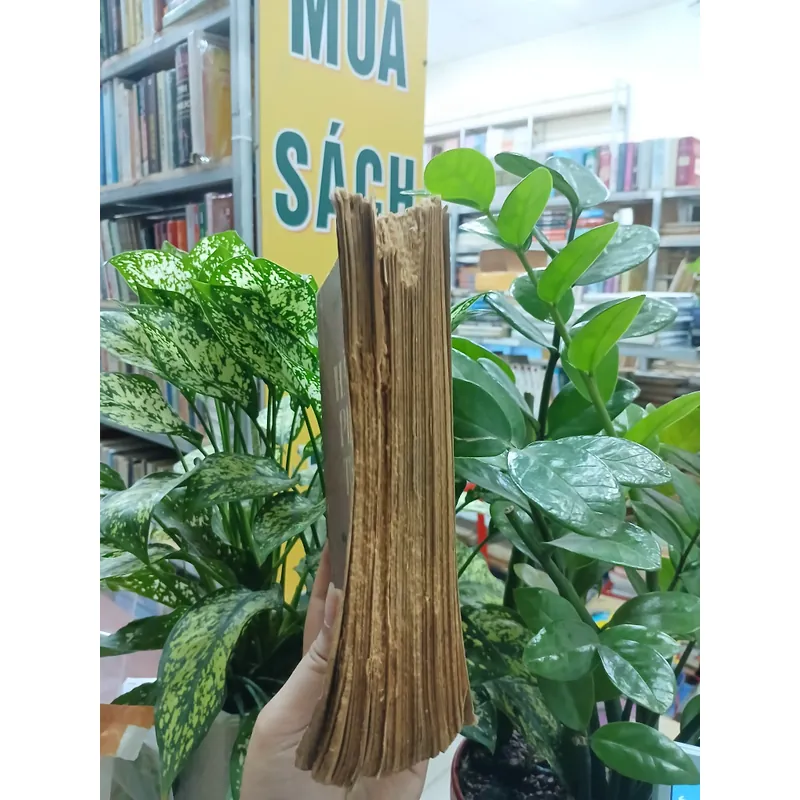 HÀN PHI TỬ (QUYỂN THƯỢNG) - HÙNG NGUYÊN NGUYỄN NGỌC HUY dịch 735619