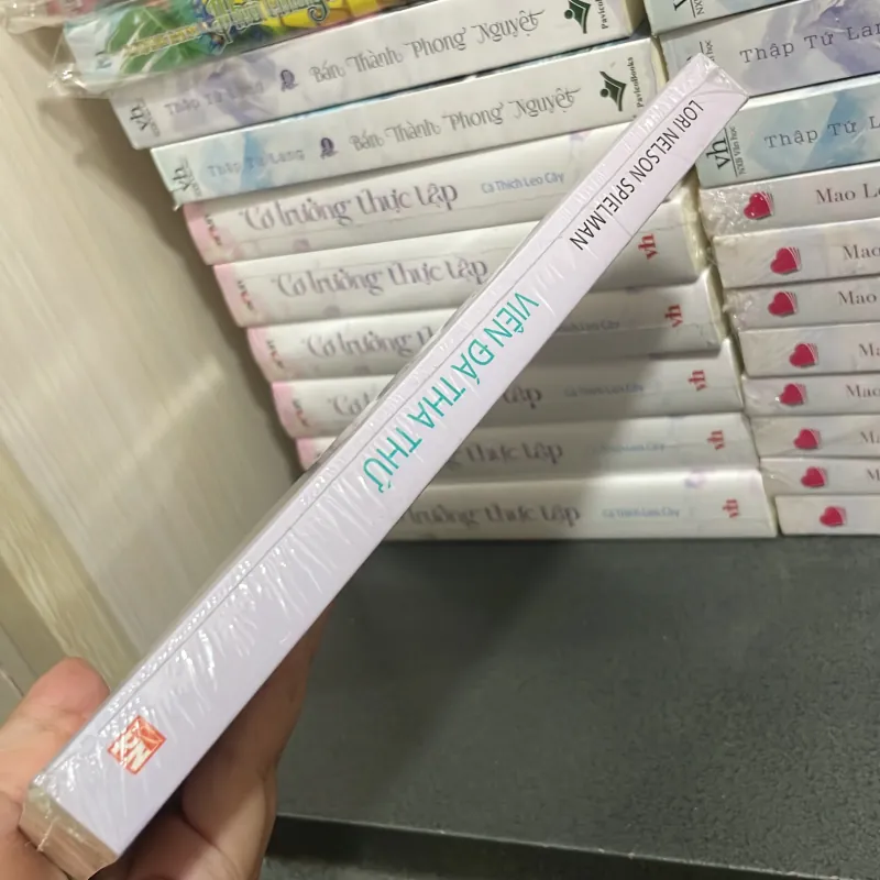 (tiểu thuyết) - Viên đá tha thứ - Lori Nelson Spielman 997367