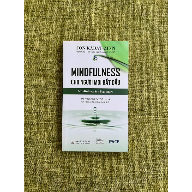 MINDFULNESS CHO NGƯỜI MỚI BẮT ĐẦU - Jon Kabat-Zinn 593290