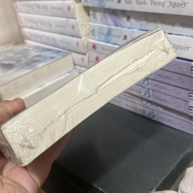 (Đam mỹ) - Sát phá lang tập 1 - Priest 1008504