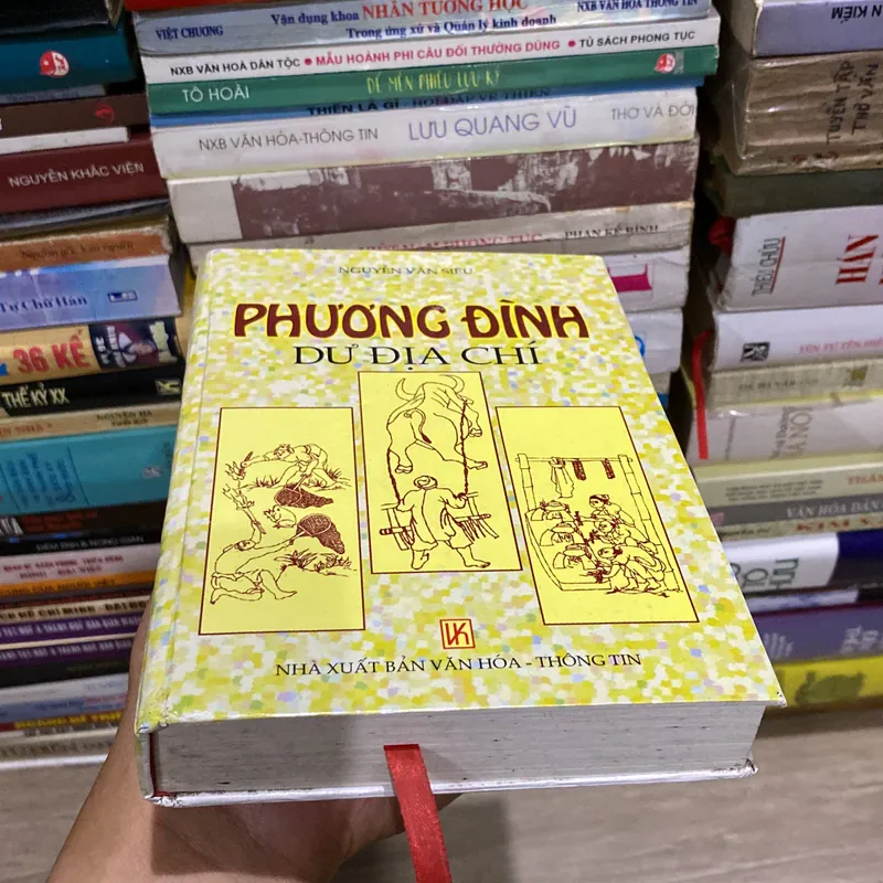 PHƯƠNG ĐÌNH DƯ ĐỊA CHÍ, bìa cứng (XB 2001) 732993