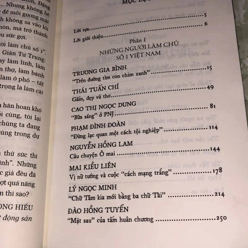 Những người làm chủ số 1 Việt Nam - Đàm Linh 928117