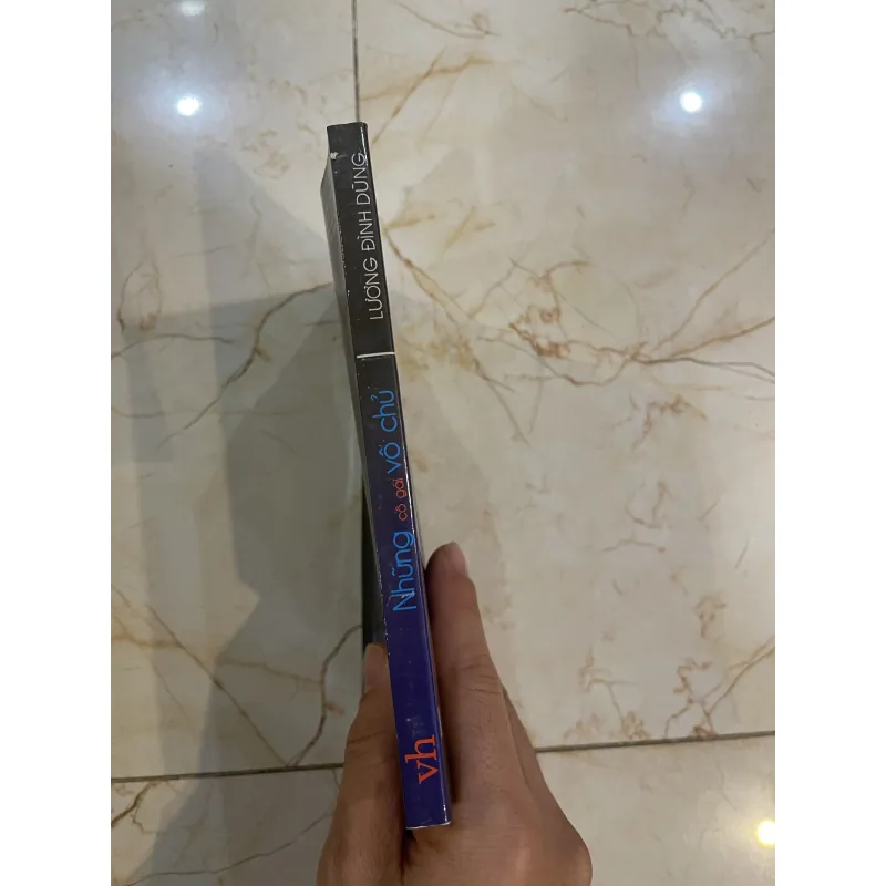 Vô chủ - Lương Đình Dũng  779400