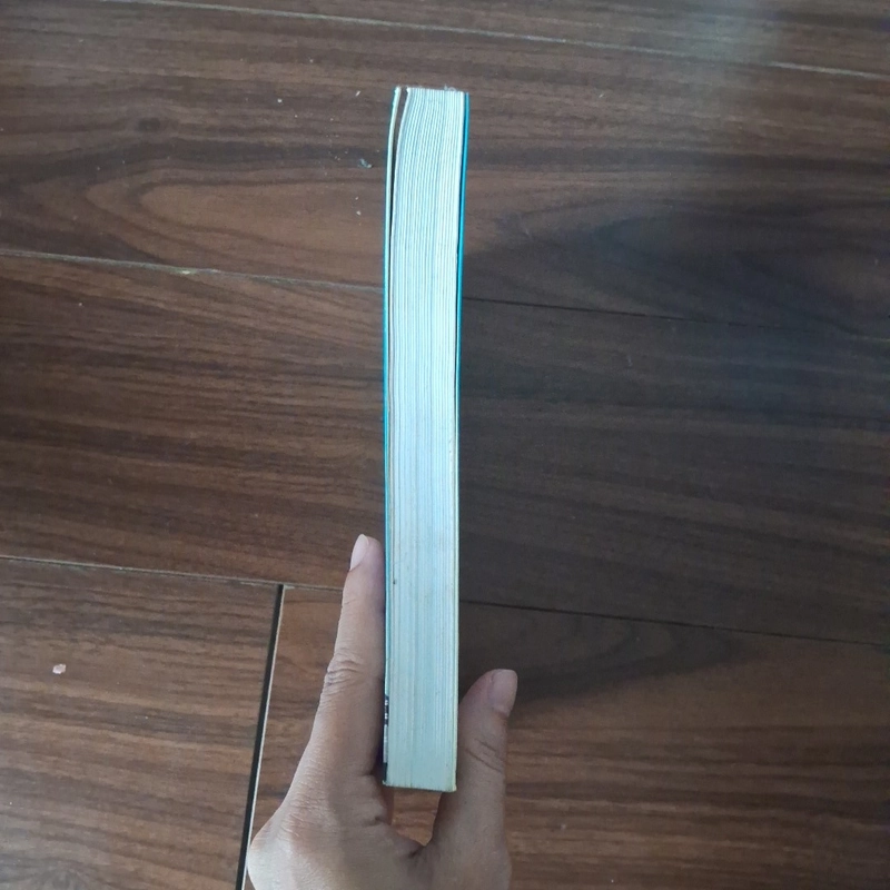 Anh chàng xấu tính 510060