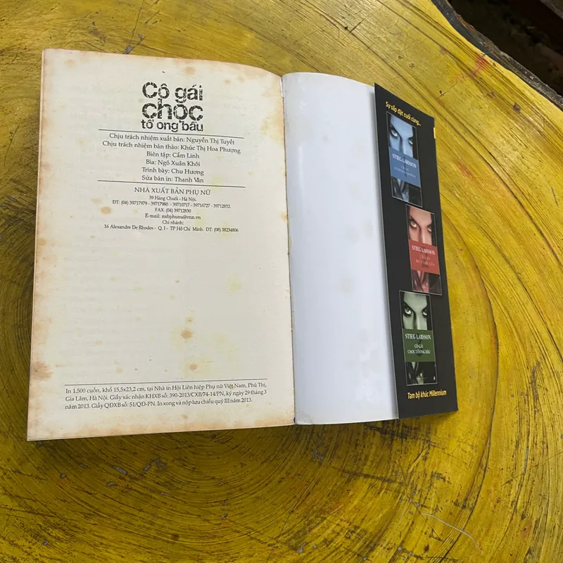 CÔ GÁI CHỌC TỔ ONG BẦU- STIEG LARSSON 565203