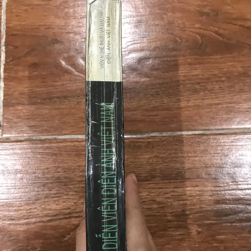 Diễn viên điện ảnh Việt Nam  1994  (18) 719456