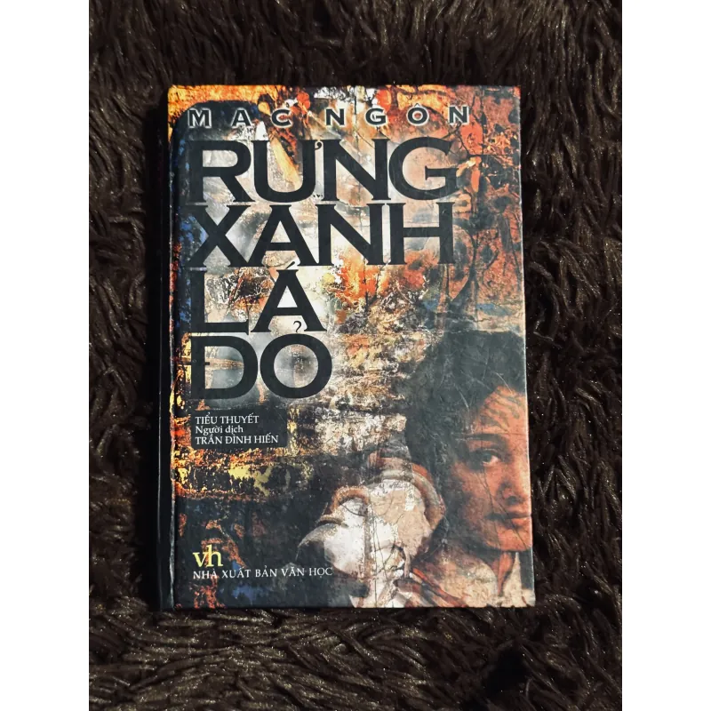 Rừng xanh lá đỏ 996357
