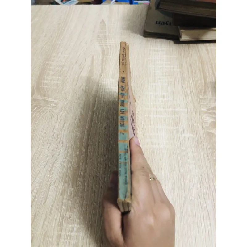 NGUỒN SINH VẬT BIỂN ĐÔNG 956906