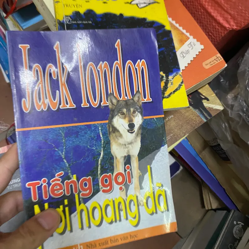 Sách Tiếng gọi nơi hoang dã 312352