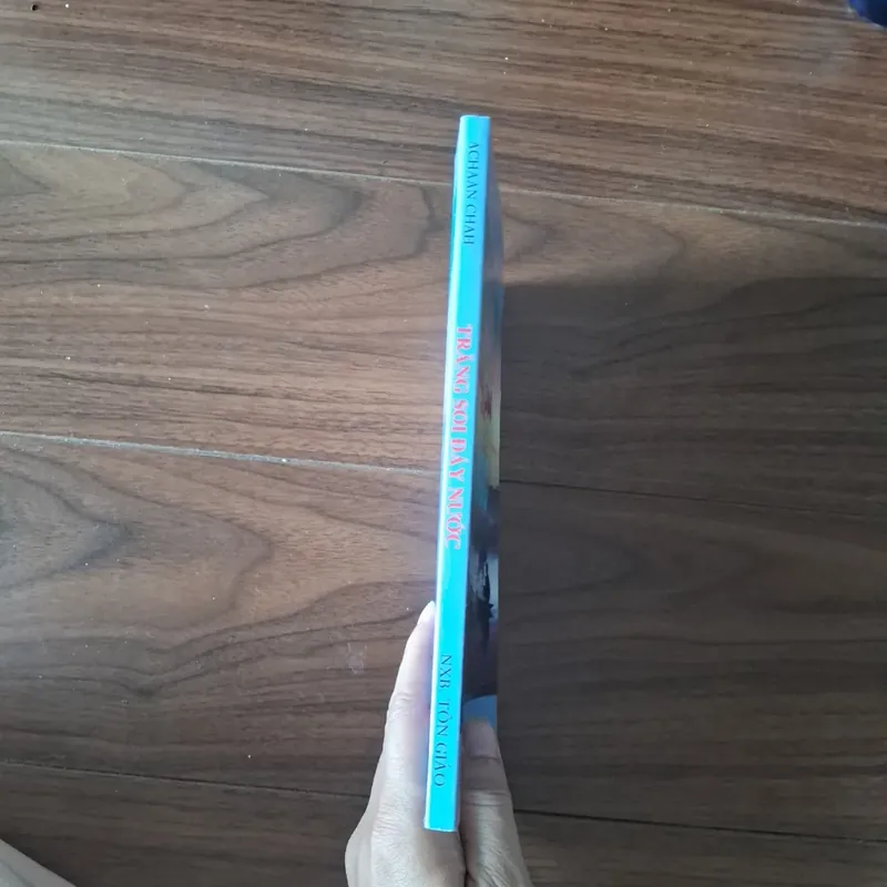 Trăng soi đáy nước 557777