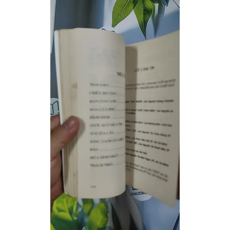 [XƯA] Tình Khúc (1995) - Trang Hạ 798487