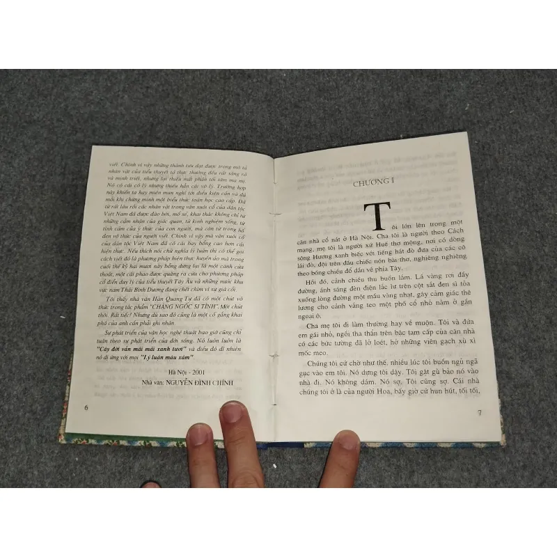 CHÀNG NGỐC SI TÌNH - HÀN QUANG TỰ 588706