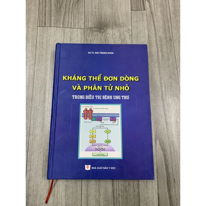 Kháng thể đơn dòng và phân tử nhỏ trong điều trị bệnh ung thư. 8a3 655247