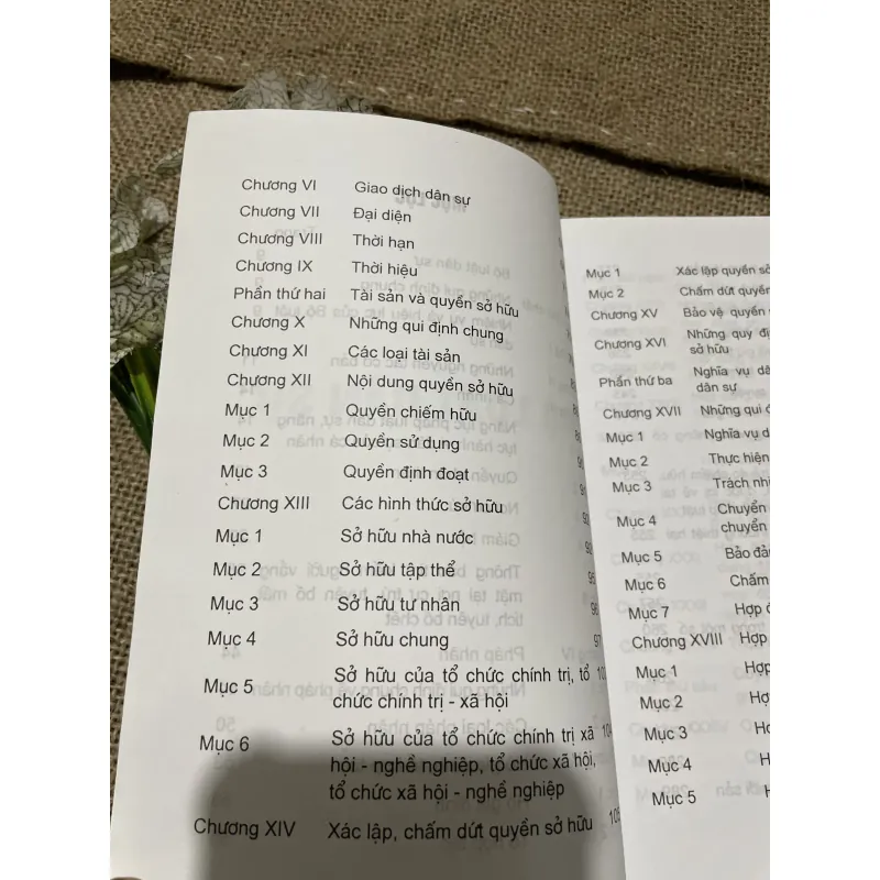 Bộ luật dân sự , hơn 300 trang  797684