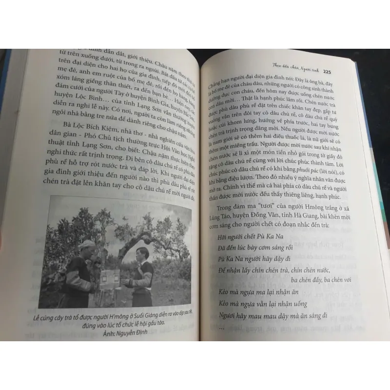 Theo Dấu Chân Người Tình 695582