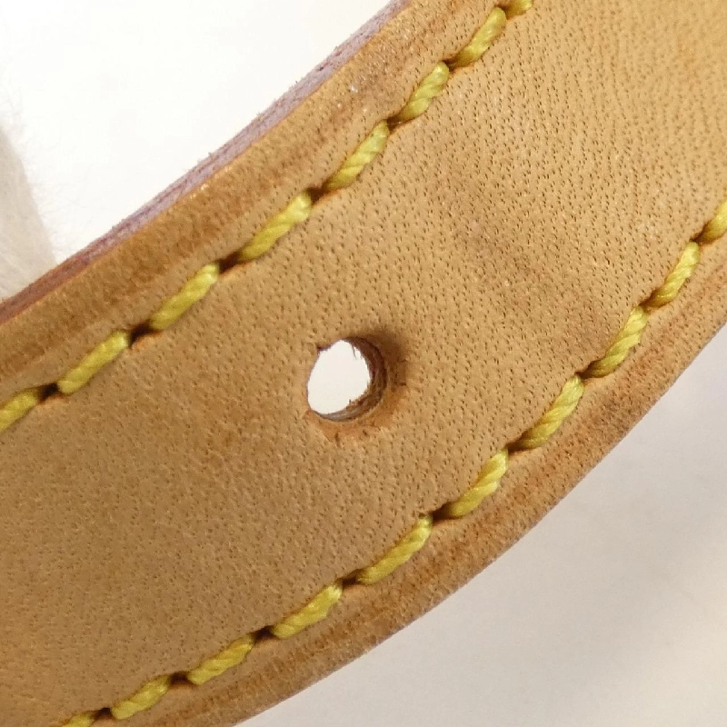 Túi xách vai Louis Vuitton Monogram Salony M42250 613331