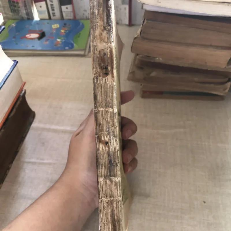 Các vĩ nhân tỉnh lẻ 993527