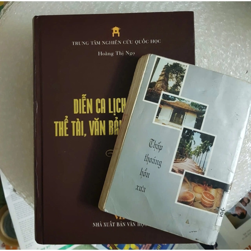 Diễn ca lịch sử Nôm thể tài văn bản và tác phẩm I Hoàng Thị Ngọ viết, dịch 493938
