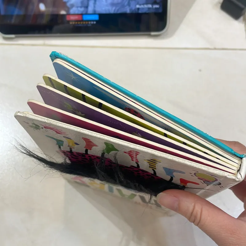 NGOẠI VĂN tiếng anh trẻ em : THE - NOT -so - SCARY HAIRY SPIDER - with touch and feel  1027845