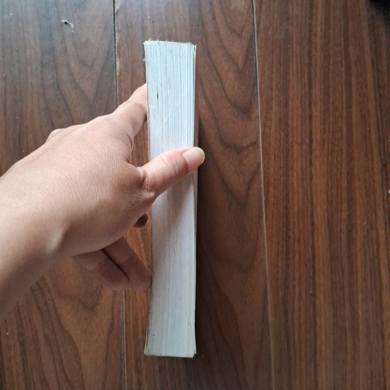 Hồi ức cuộc tình 505392