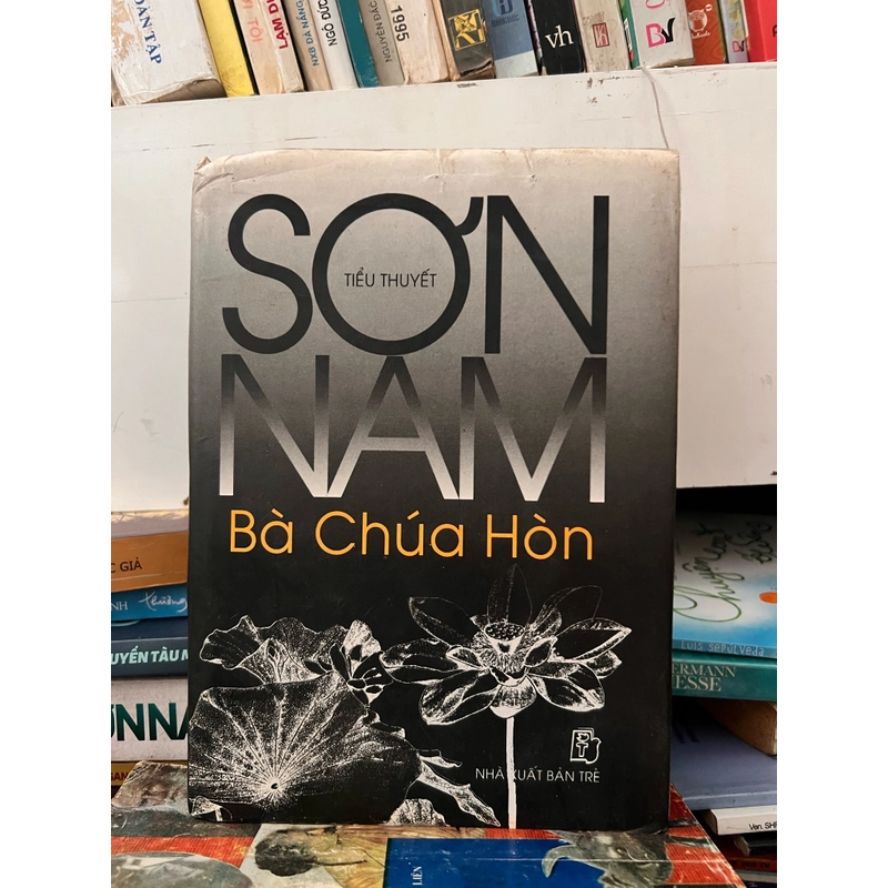 Tiểu thuyết sơn nam Nà chúa Hòn 399475