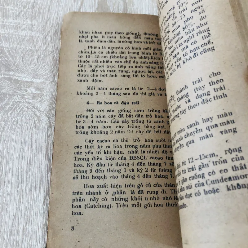 TRỒNG CA CAO Ở ĐỒNG BẰNG SÔNG CỬU LONG  956951