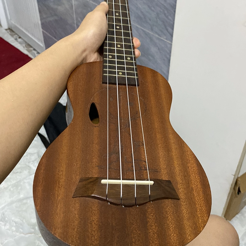 Đàn Ukulele size 21 503025