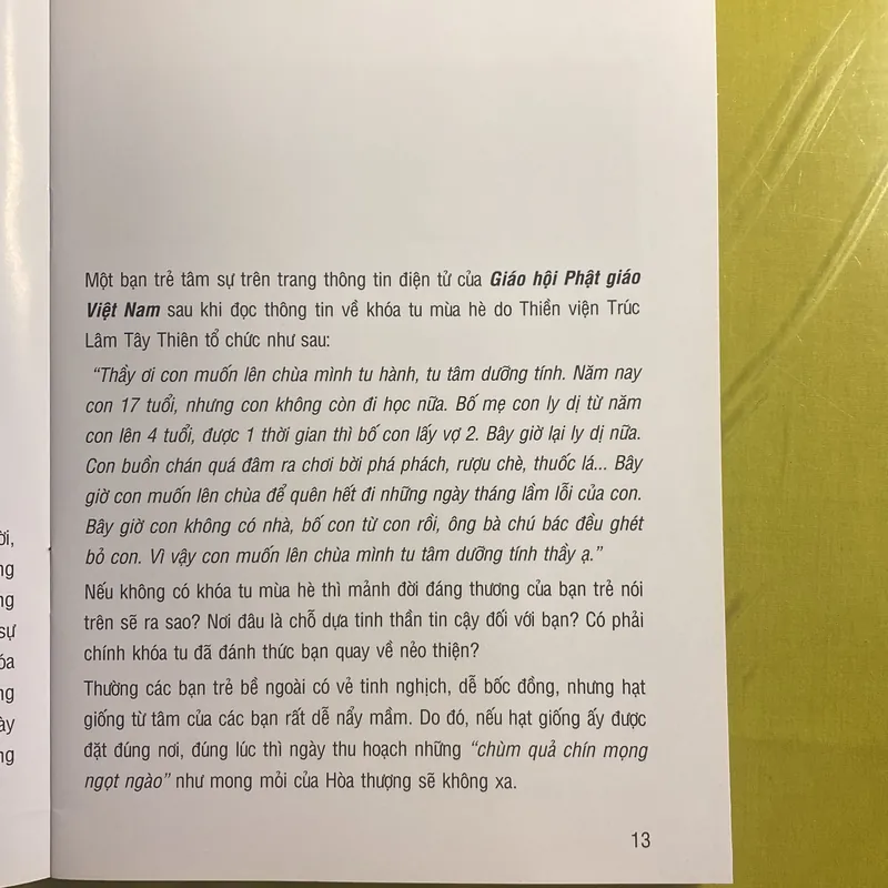 Chúng con Kính Yêu Sư Ông - Thiền Viện Trúc Lâm Chính Pháp - Mùa hạ 2016 680890