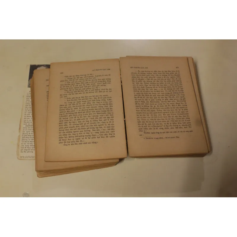 Lũ Người Quỷ Ám, Fyodor Dostoevsky 960004