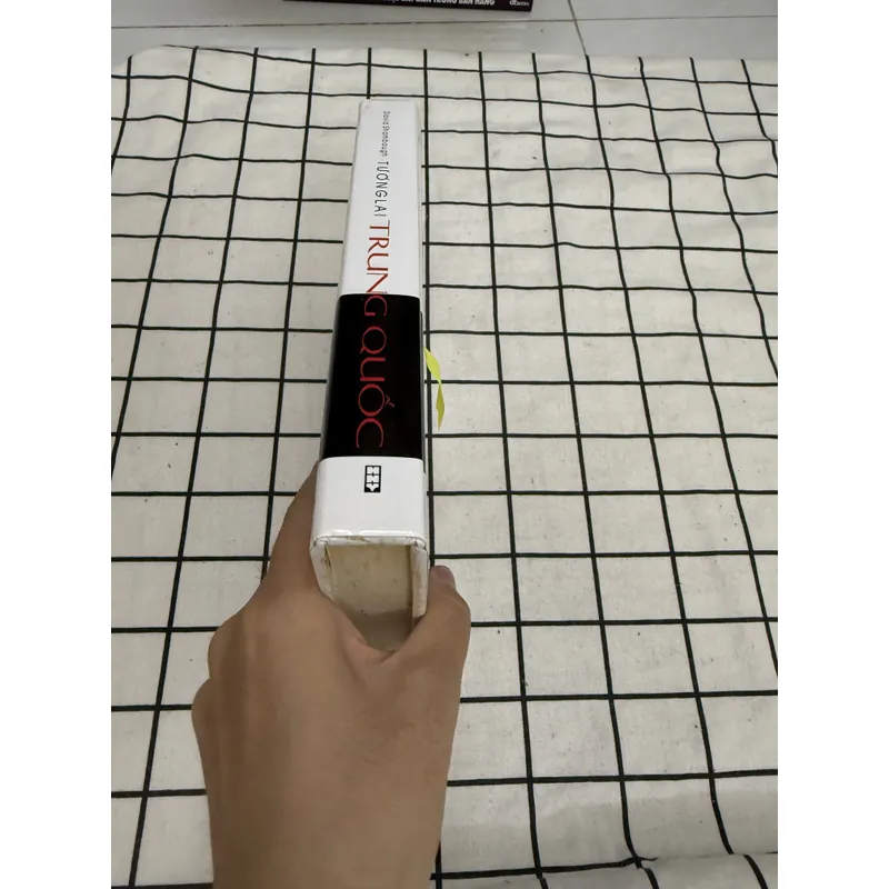 Tương lai Trung Quốc  656423