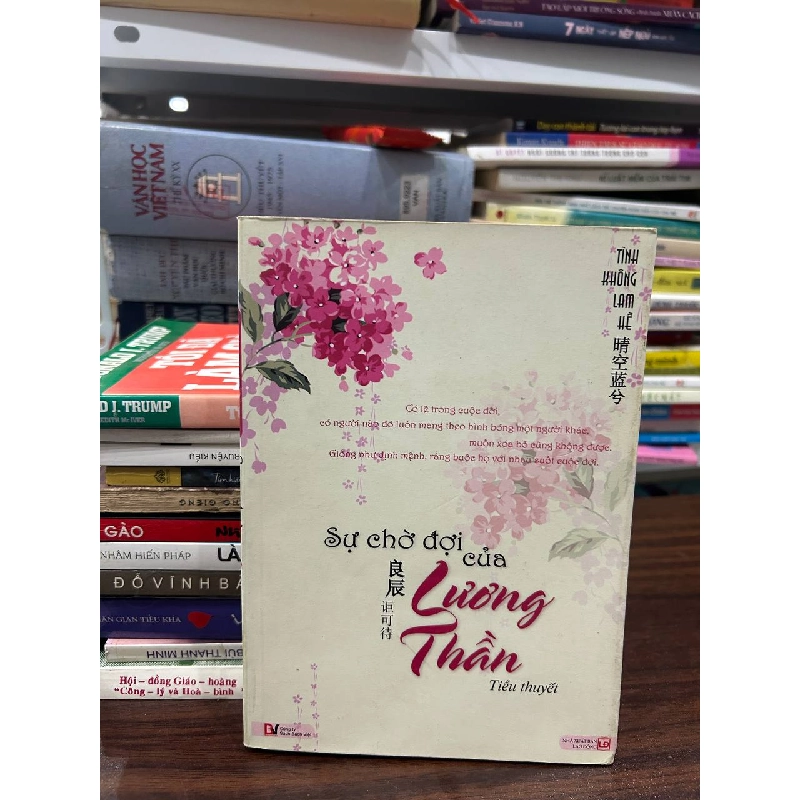 Sự Chờ Đợi Của Lương Thần - Tình Không Lam - Tình Không Lam 1005802